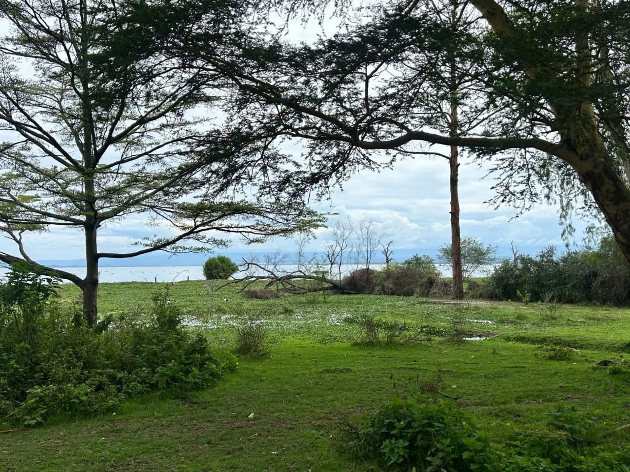 PRIME 25ACRES LAKE FRONTAGE PROPERTY