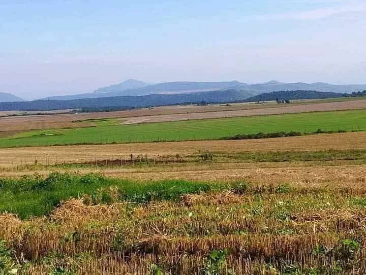 314 ACRES AGRICULTURAL LAND