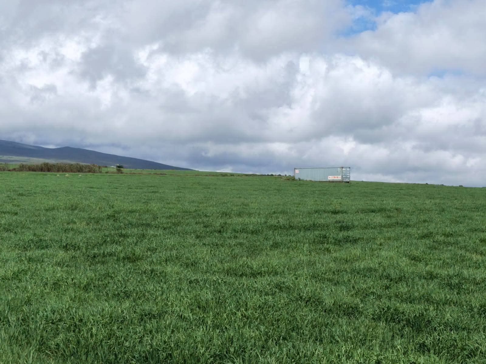 314 ACRES AGRICULTURAL LAND