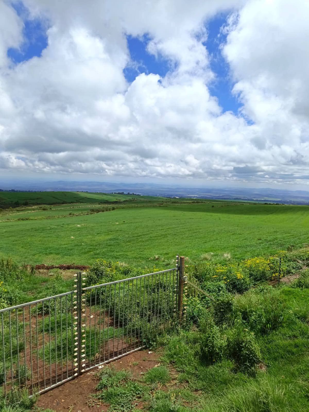 314 ACRES AGRICULTURAL LAND