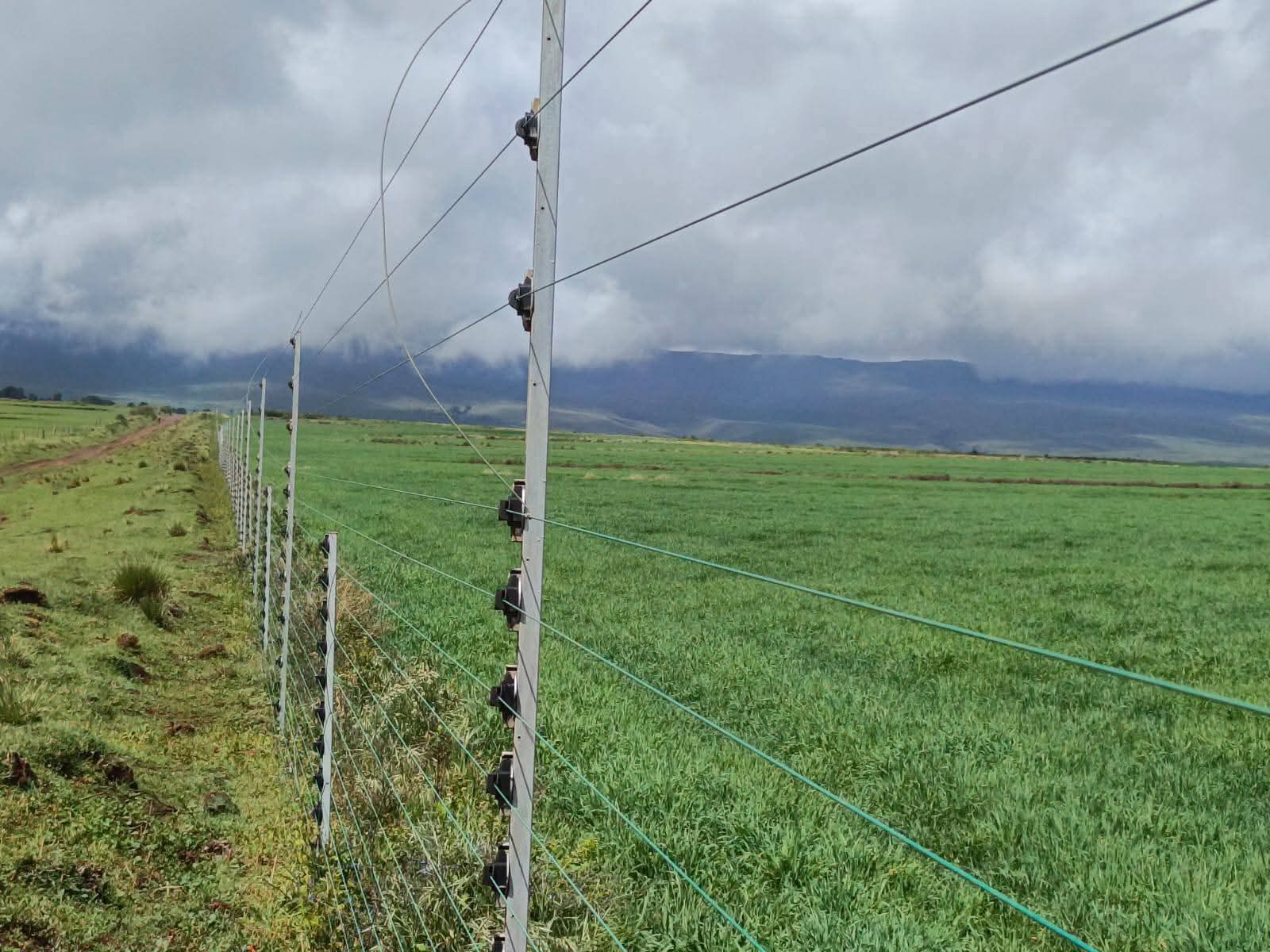 314 ACRES AGRICULTURAL LAND