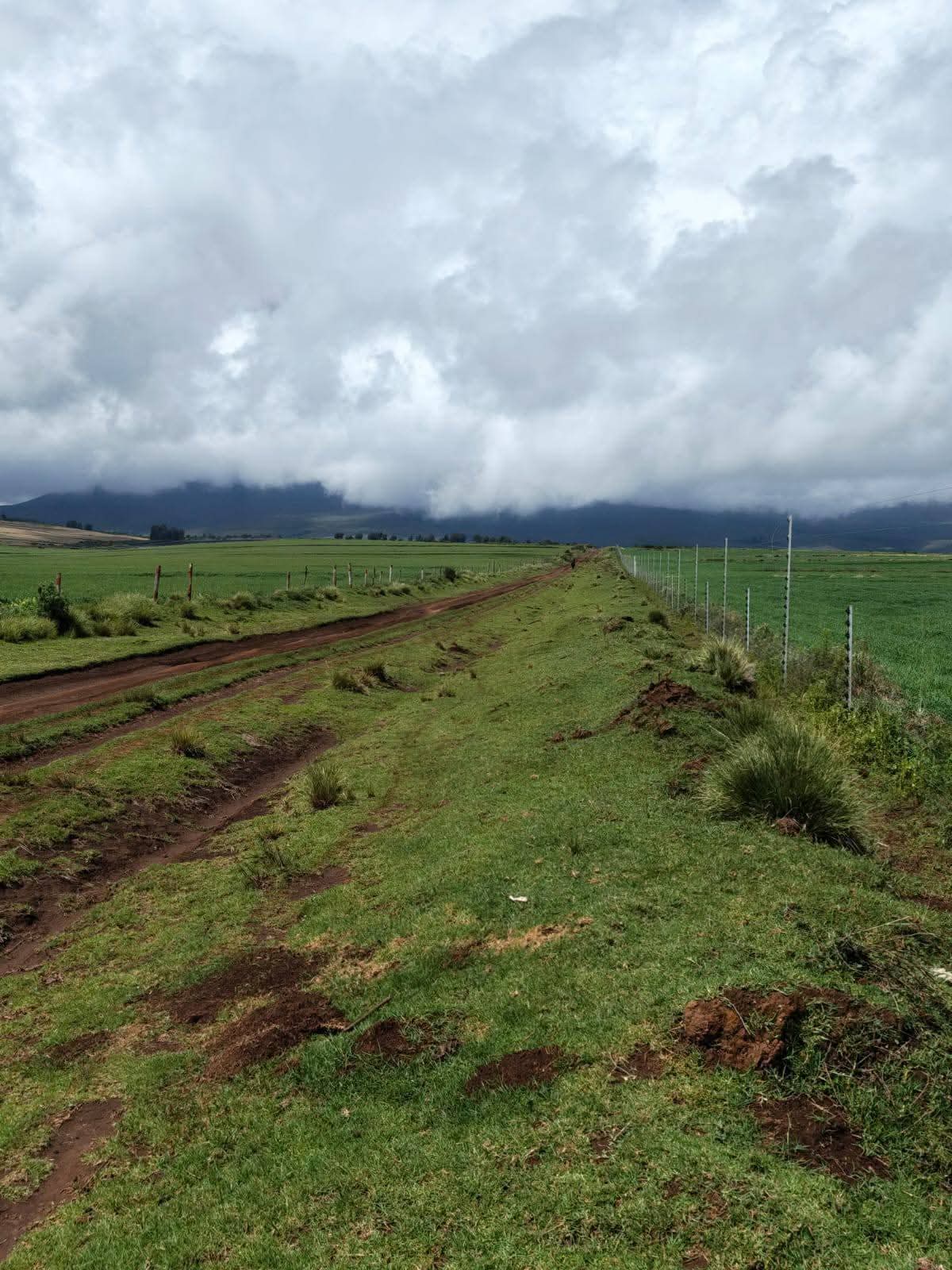 314 ACRES AGRICULTURAL LAND