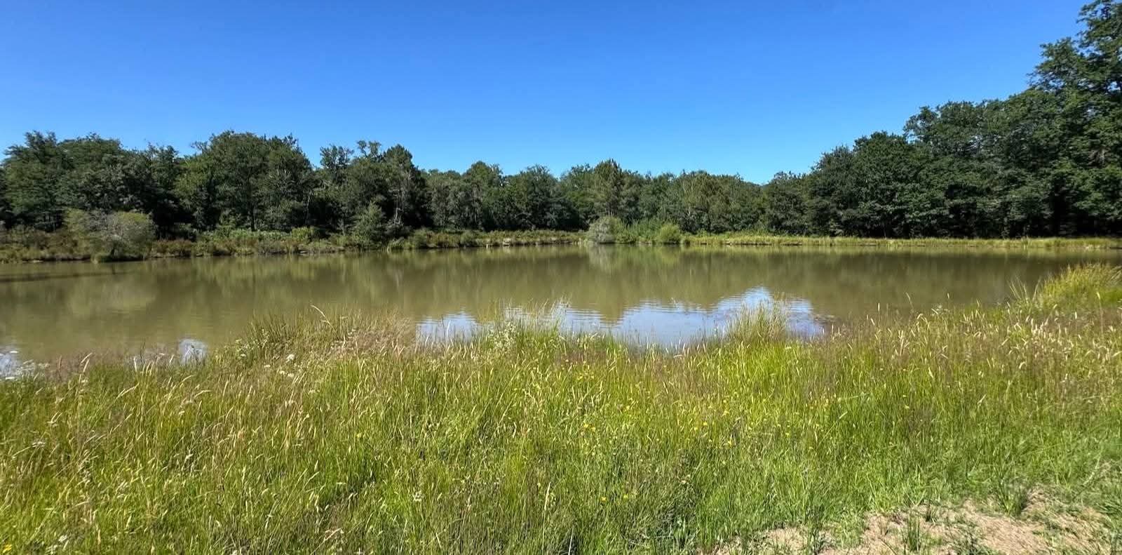 EXCLUSIVE 200-ACRE COUNTRY HOME