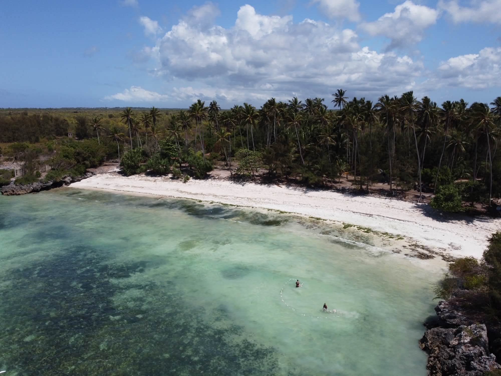 š Oceanfront Land ā Mtende, South Zanzibar š“