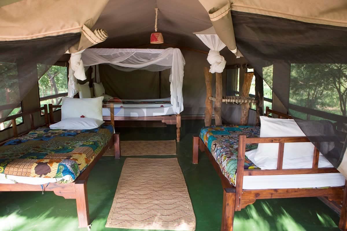 EXCLUSIVE SAFARI LODGE & TENTED CAMP – NEAR MIKUMI NATIONAL PARK