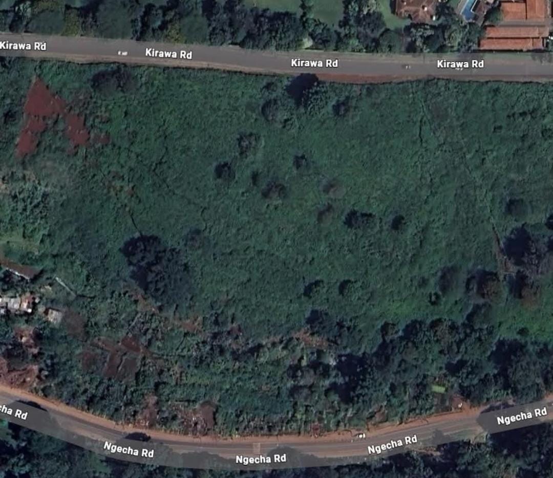 LUSCIOUS 1-ACRE