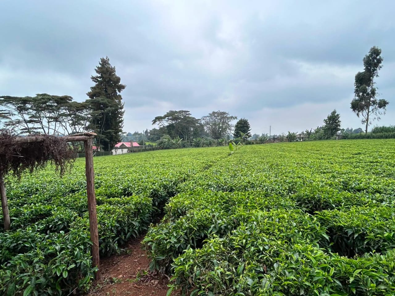 Prime 1-acre parcel