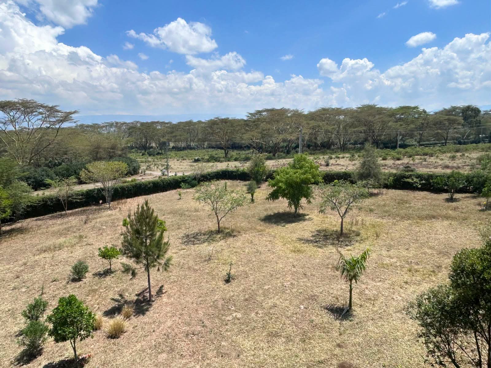 4-Bedroom Home + DSQ on 1 Acre |