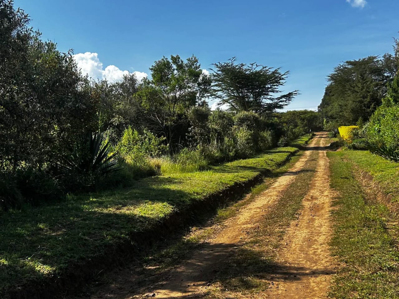 GREAT RIFT VALLEY LODGE, NAIVASHA.