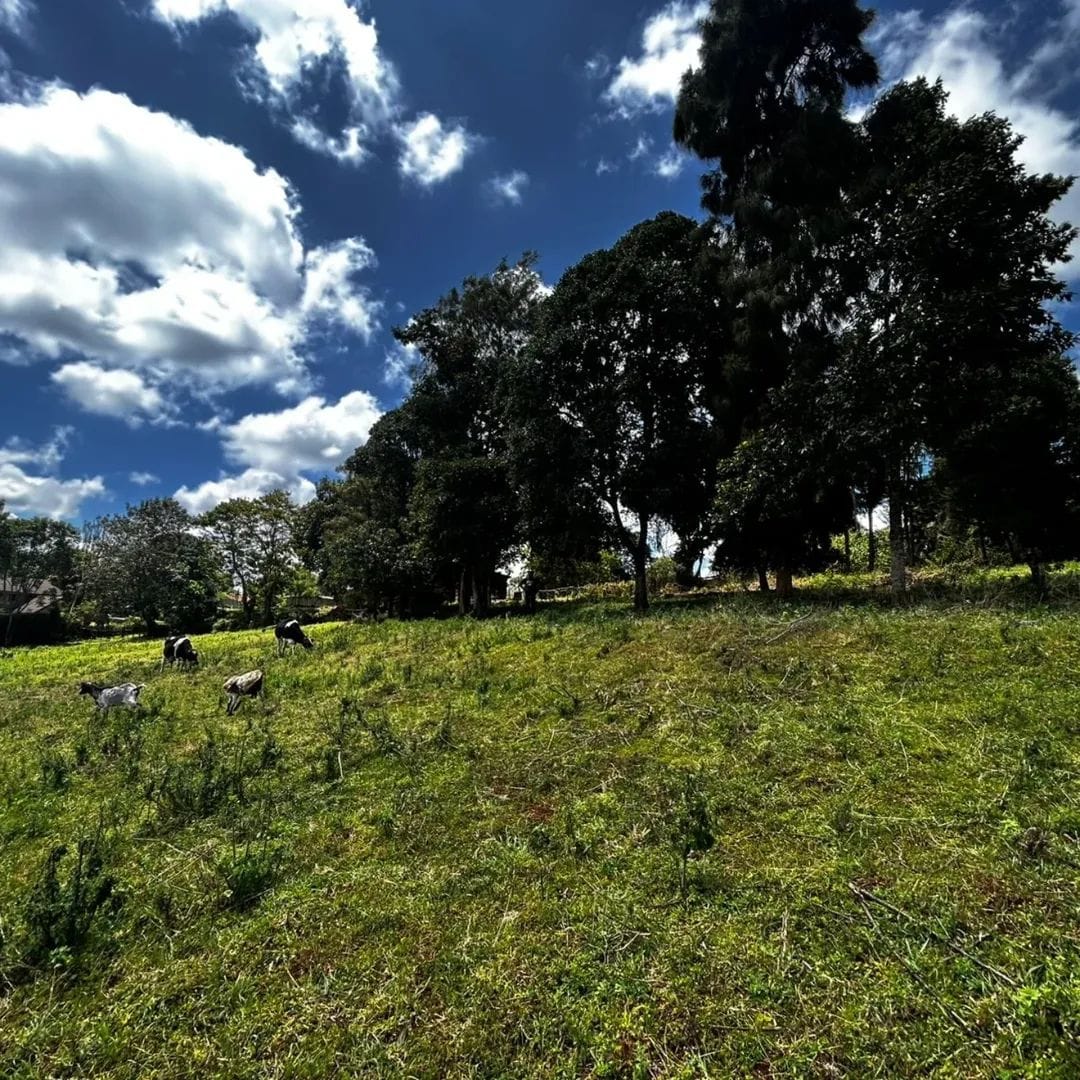 6.39-ACRE TIGONI ESTATE