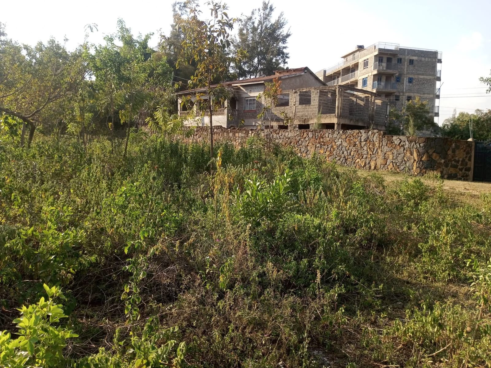 RIAT HILLS UKWELI | 0.11-HA FREEHOLD RESIDENTIAL PLOTS
