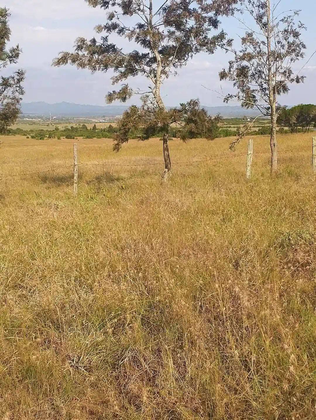 A FARM HOUSE ON 93-ACRES