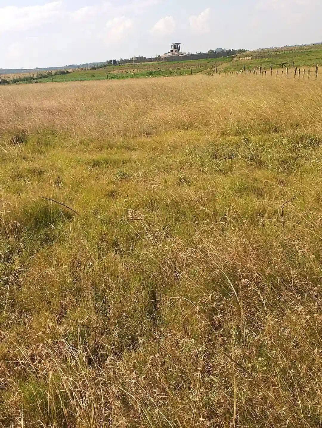 A FARM HOUSE ON 93-ACRES