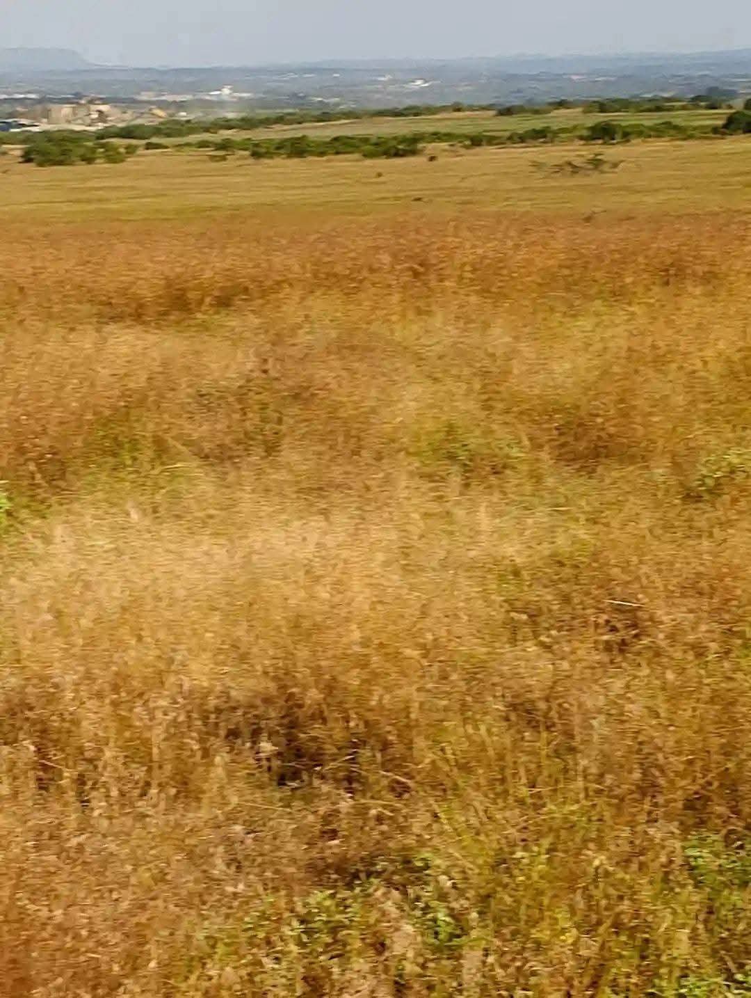 A FARM HOUSE ON 93-ACRES